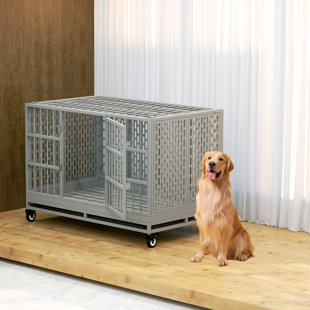 54 inch shop dog crate canada